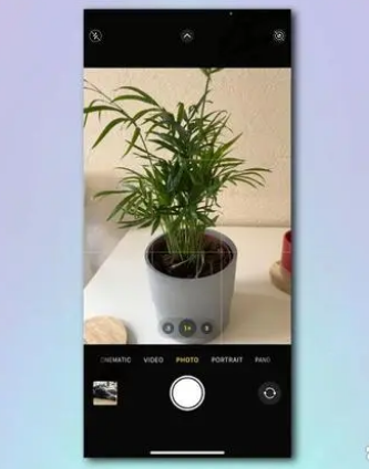 如何使用 iPhone 相机识别植物和花卉?